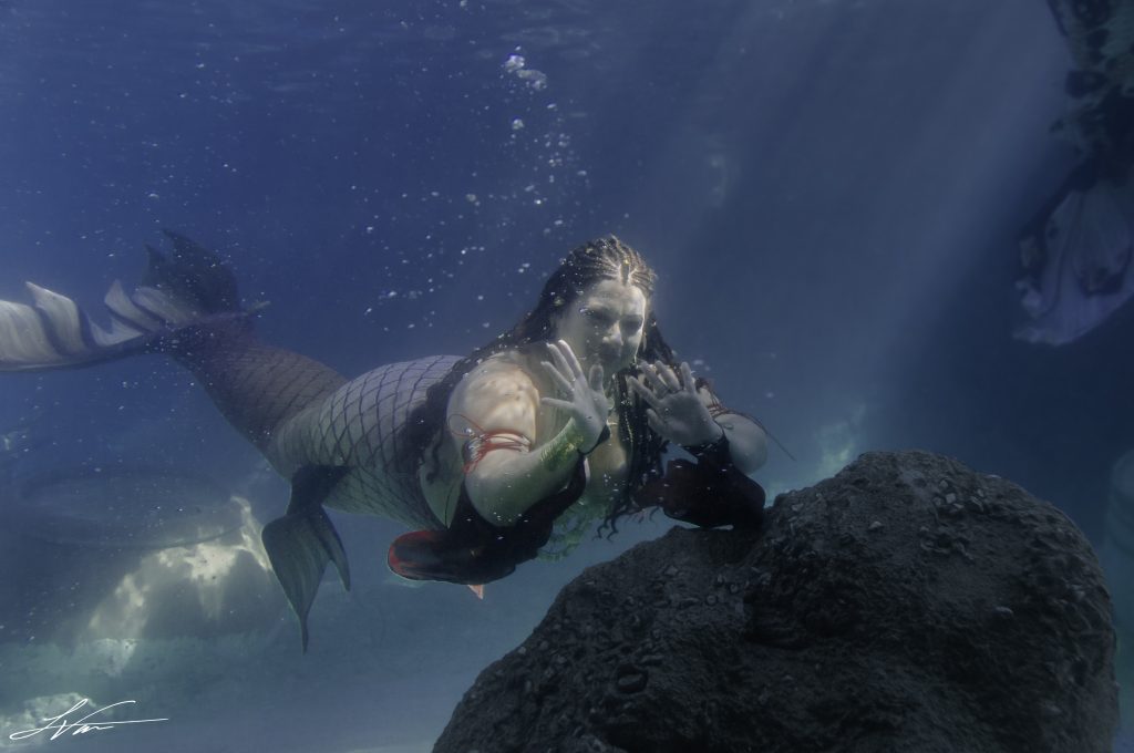 @mermaid_tanidia IMMC 2026